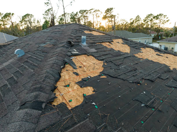 Best Roof Moss and Algae Removal  in Cape Carteret, NC