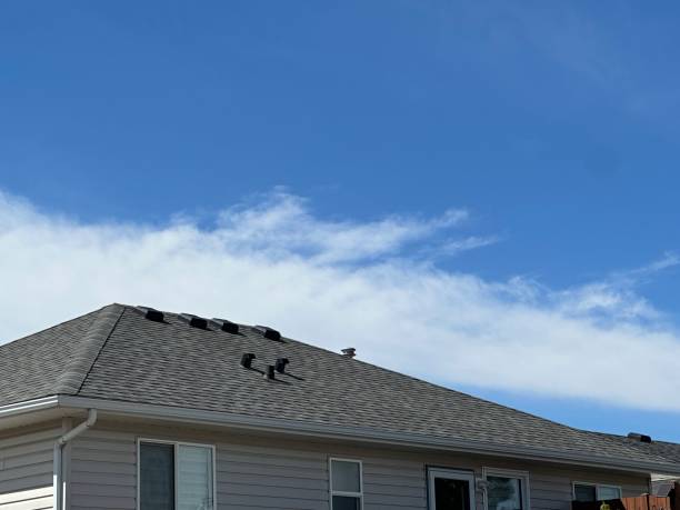 Skylights in Cape Carteret, NC